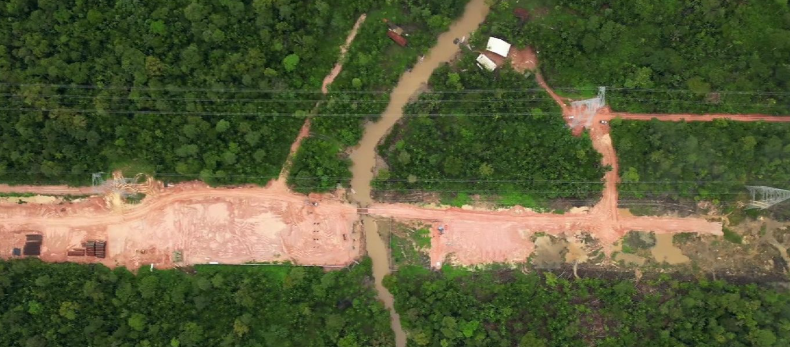 Amazon Forest Felled photo